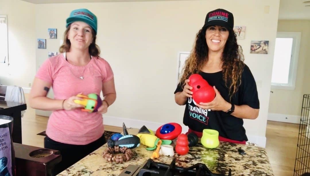 Intro to Enrichment Feeders