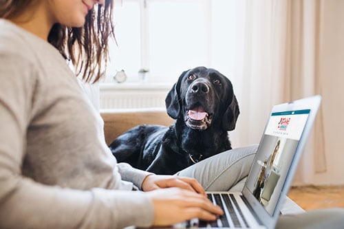 Online Private Training Class
