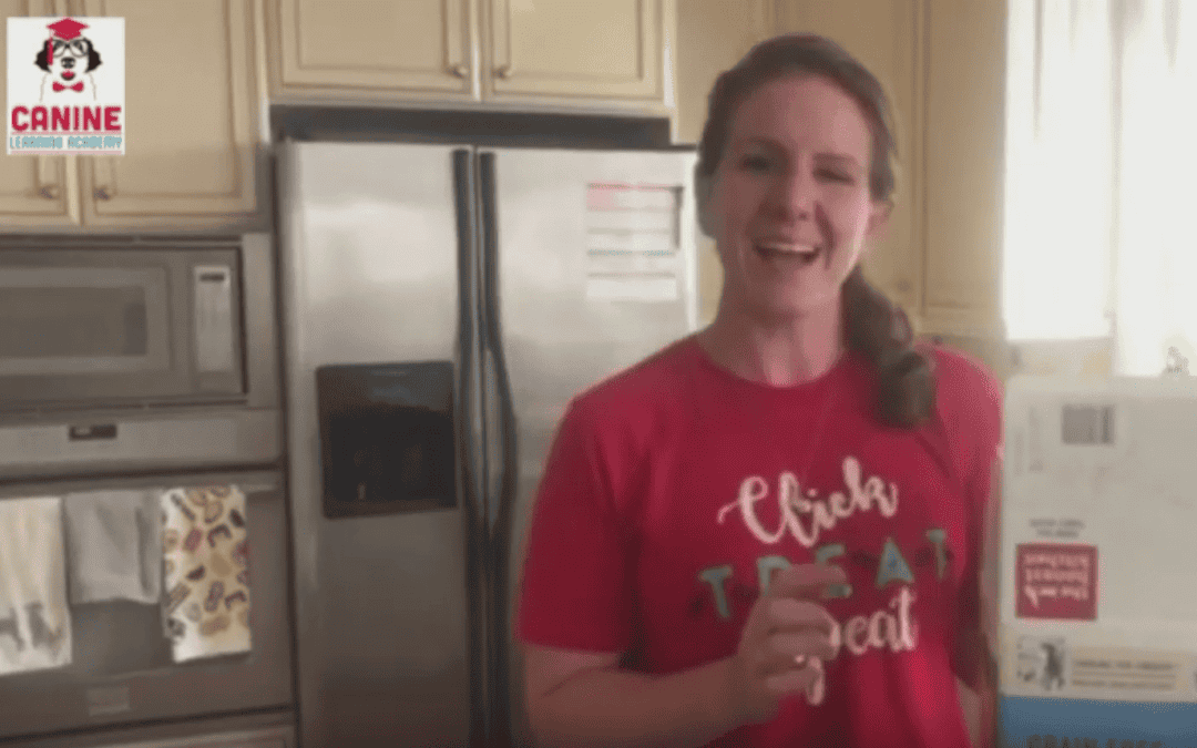 Dog Summer Popsicle Recipe