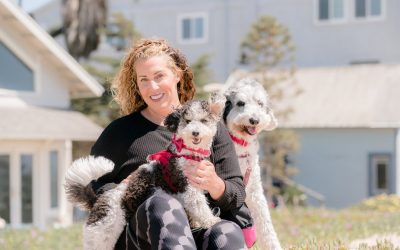 Dog Training Techniques: The Human end of the Leash