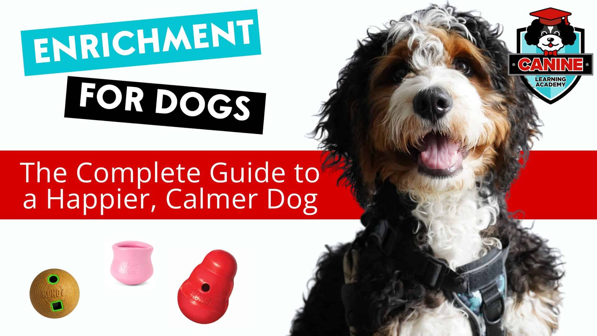 How to Teach Dog to Clean Up Toys: Easy Steps for Quick Success