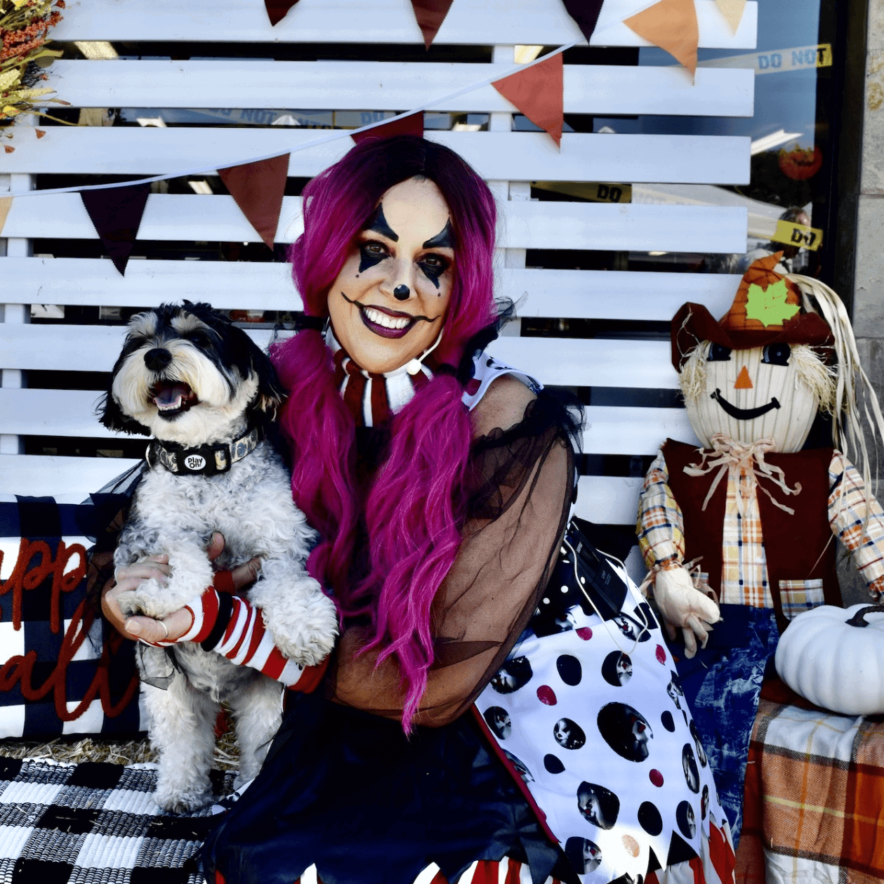 Hallowen Dog Event at Canine Learning Academy Huntingon Beach Hallowen Dog Event at Canine Learning Academy Huntingon Beach