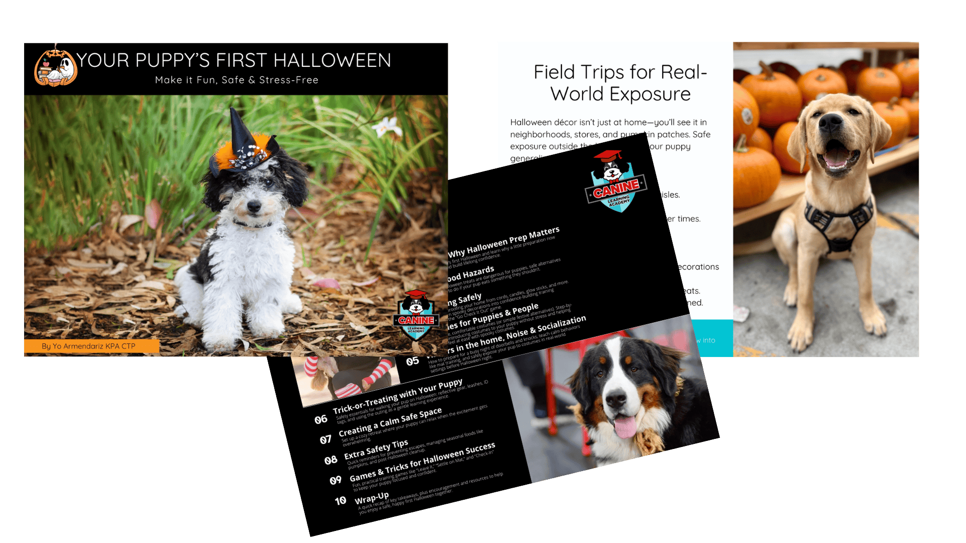 ebook halloween dog event ebook halloween