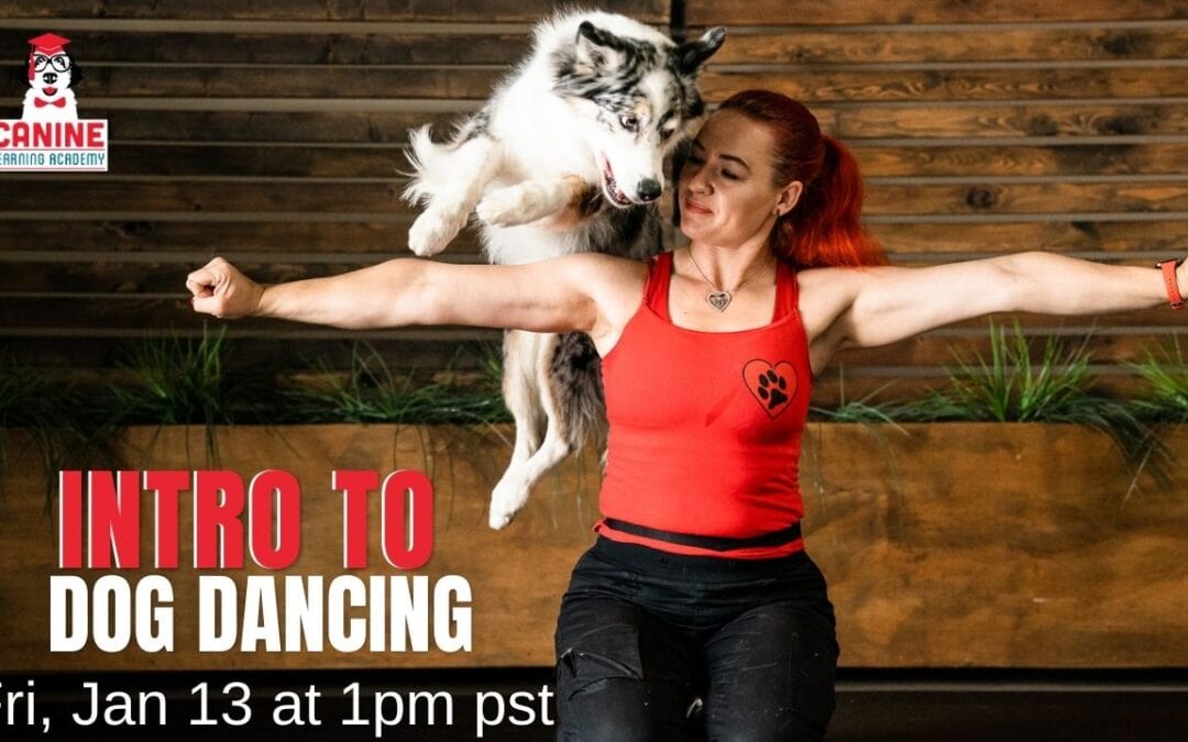 Intro to Dog Dancing with Jennifer Fraser